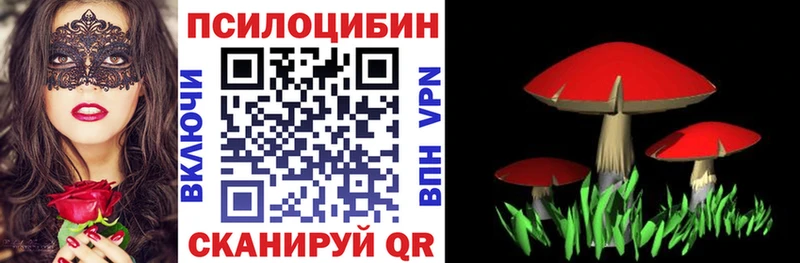 магазин продажи наркотиков  Железногорск-Илимский  Псилоцибиновые грибы ЛСД 